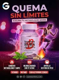Lemme Burn – Quemador Grasa Abdominal+ AMPK